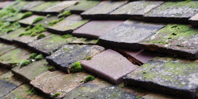 Irby roof repair costs